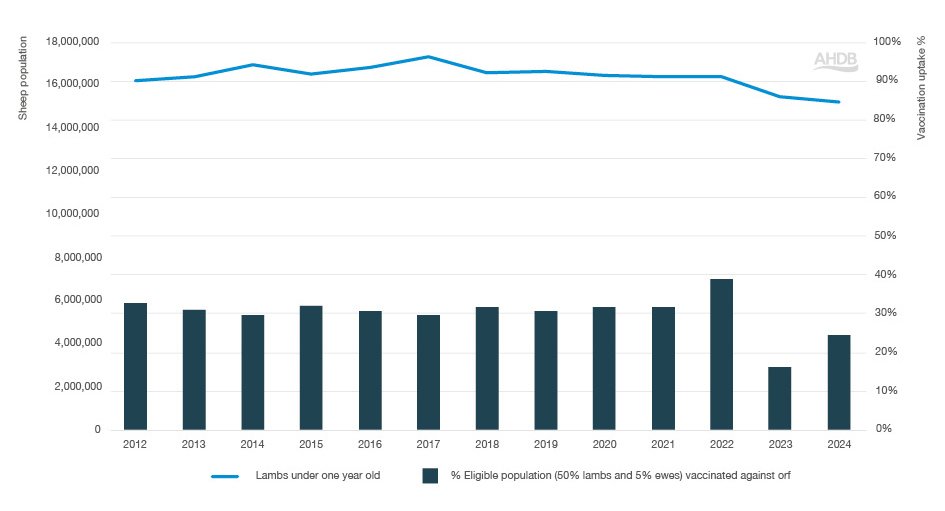 Bar graph with orf vaccination data from 2012-2024.